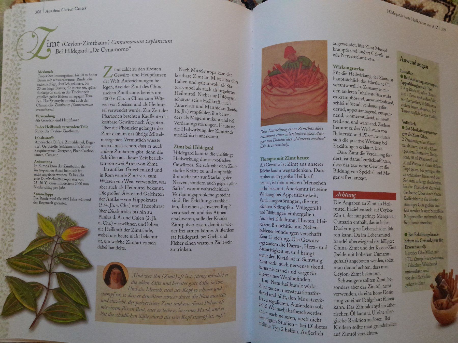 Libri: Gesund bleiben: Hildegard von Bingen – Nuovo (secondo la descrizione) da Eglisau venduto da Susanne2209 9