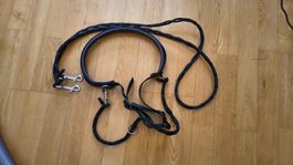 Hunde- Jogging, -Walking -Wander Gurt Ruckdämpfer + Leine