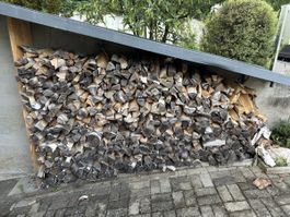 Brennholz Birke