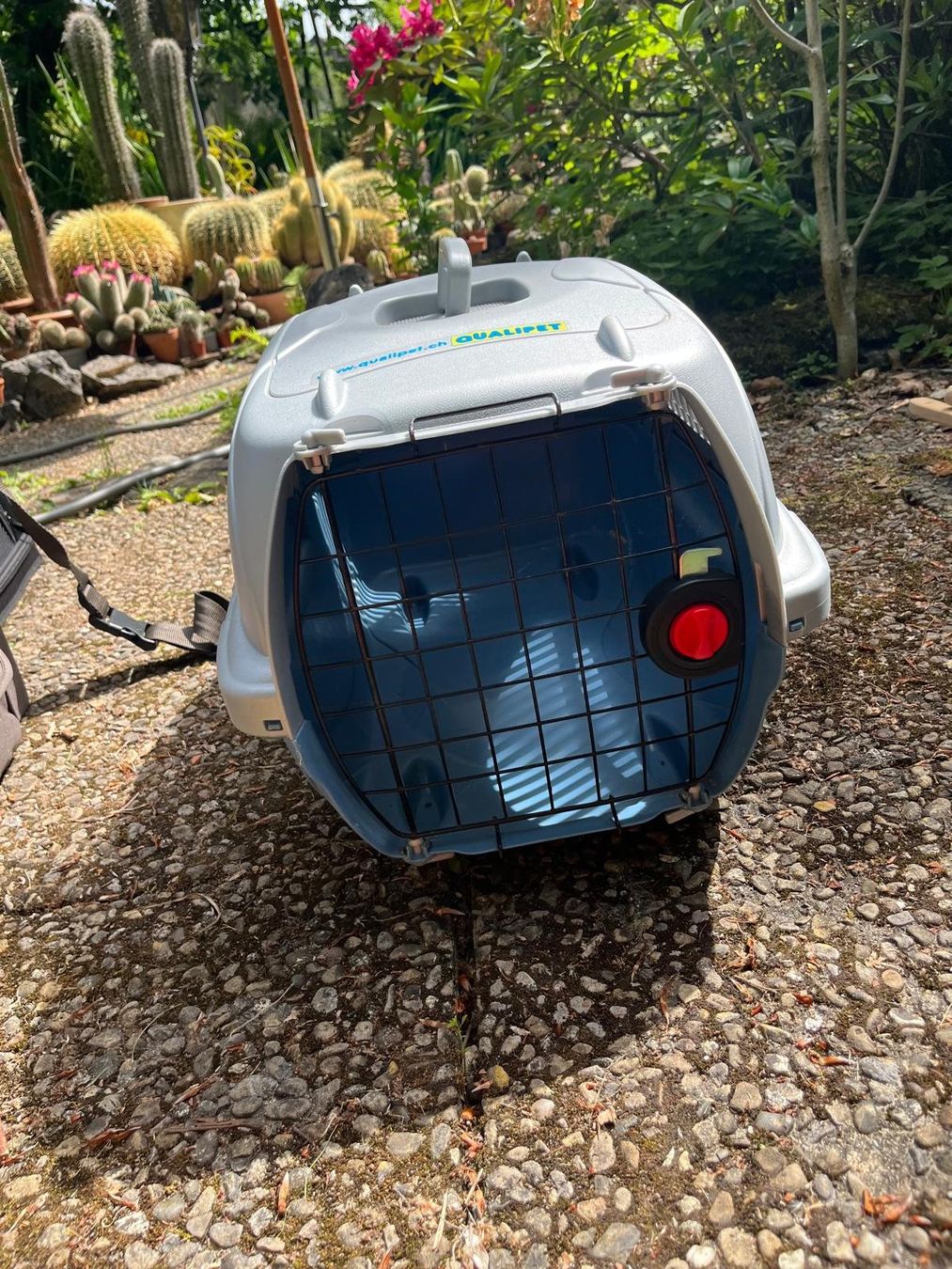 Gabbie, trasporto & Sicurezza: Hundebox – Usato da Schindellegi venduto da lailalu 1