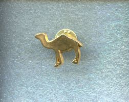 CAMEL