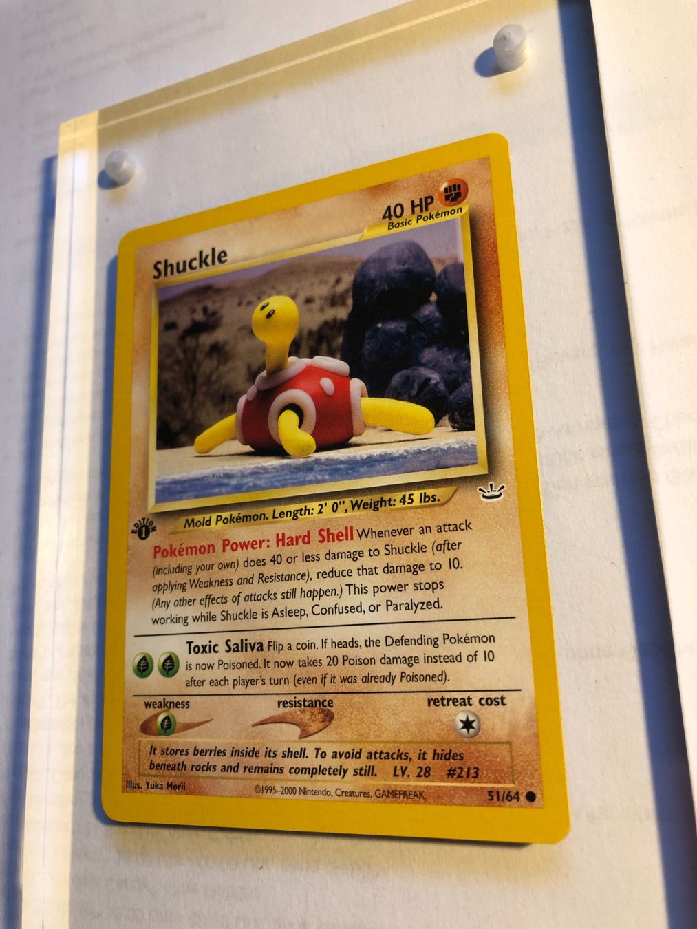Cartes à collectionner: Shuckle 1st Neo Revelation - MINT - ab 1.- – D'occasion à Giubiasco par dan_pr8b 2