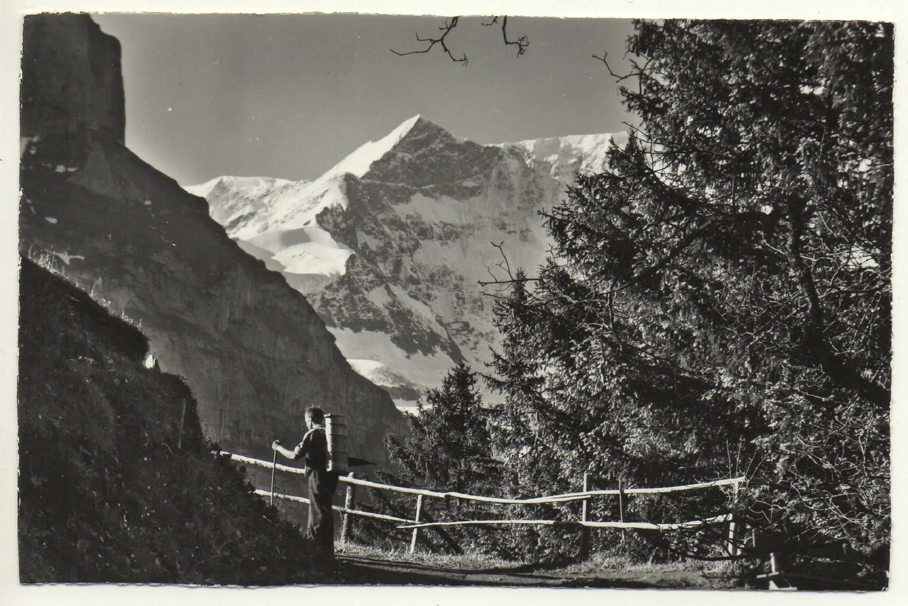 Cartoline postali: GRINDELWALD Mann beim Terrassenweg – Usato da Jona venduto da philajona
