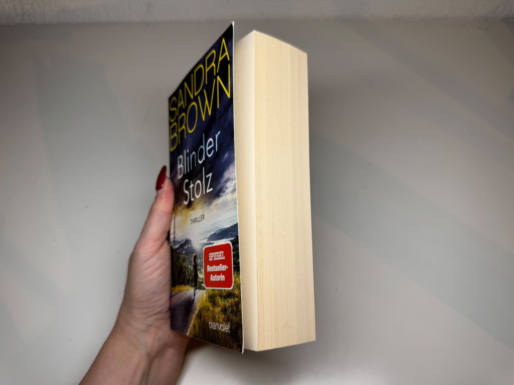 Bücher: ROMAN: Sandra Brown, Blinder Stolz – Gebraucht aus Grosswangen von Deutsche_Romane 1