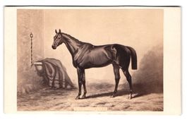 Fotografie Goupil, Cie, Paris, Boulevard