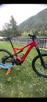 Specialized Levo
