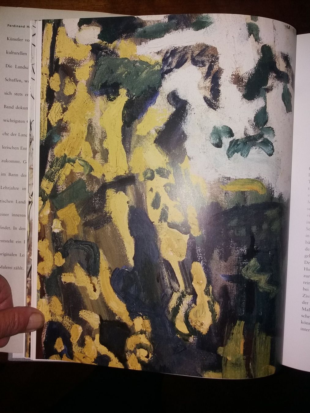 Bücher: KUNSTKLASSIKER Ferdinand Hodler landschaften – Gebraucht aus Welschenrohr von Regool 7