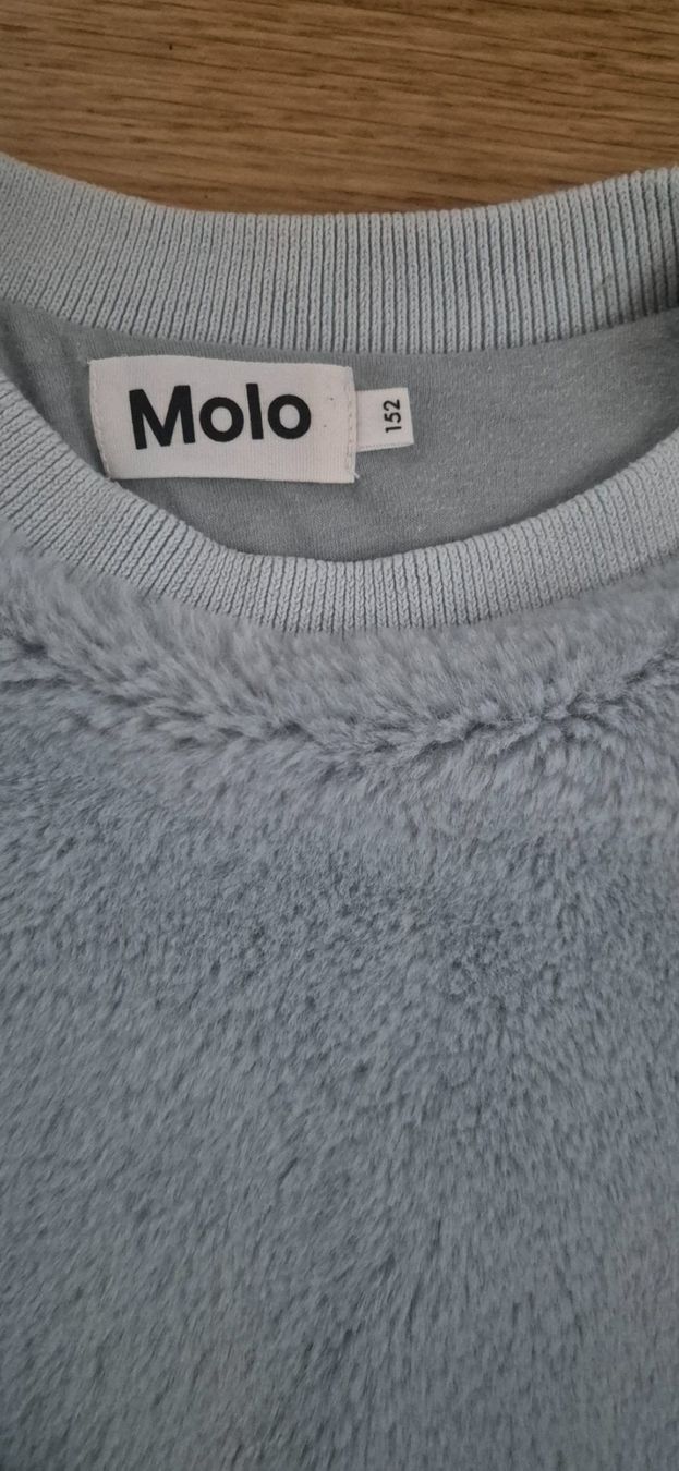 Molo Pulls et sweat-shirts: Molo Winterpullover Gr 152 – D'occasion à Wittenbach par elfe77rot 1
