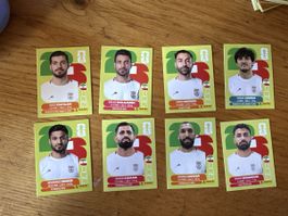 Panini 2026 8er Set IRN