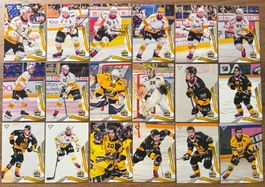 Sportzoo 25/26 - HC Ajoie