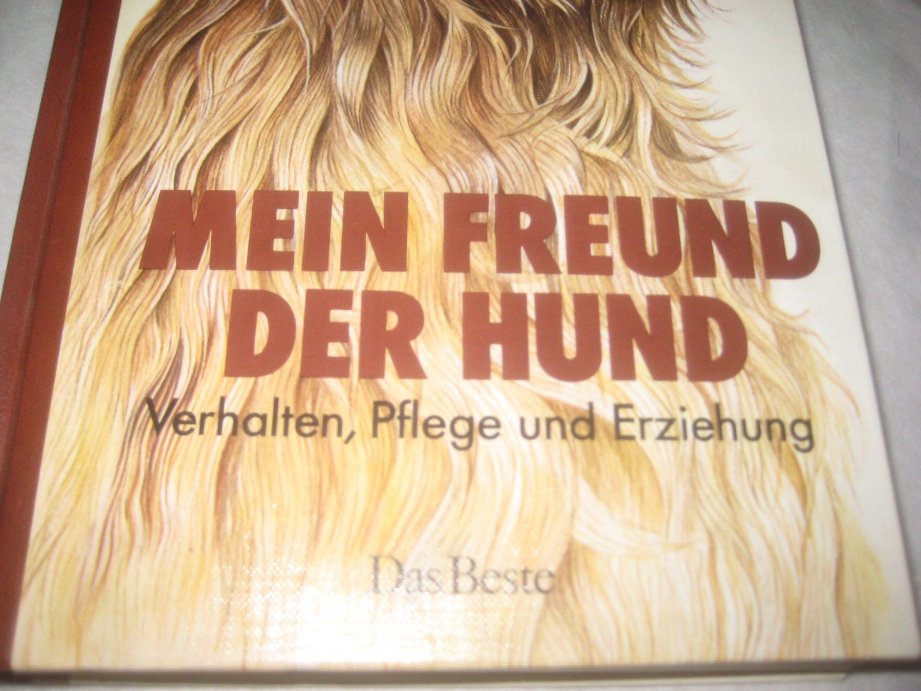 Bücher: HUNDE  BUCH – Gebraucht aus Uster von flocke1 1