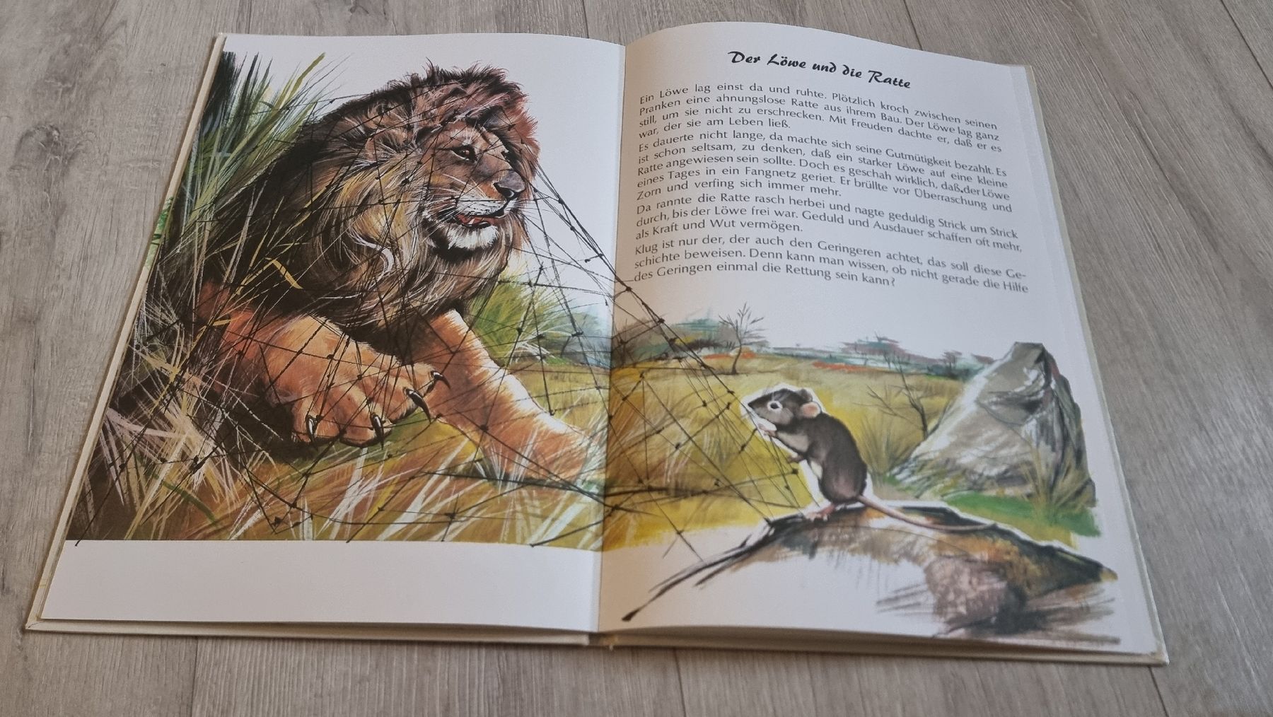Libri: Tierfabeln von La Fontaine – Usato da Wigoltingen venduto da Zuckerfee84 3