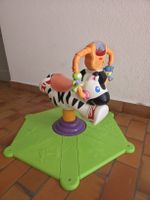Hüpf und Schaukelzebra Fisher- Price