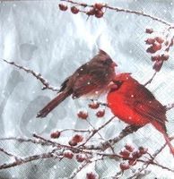 Serviette cardinal birds (w436) 3Stk.
