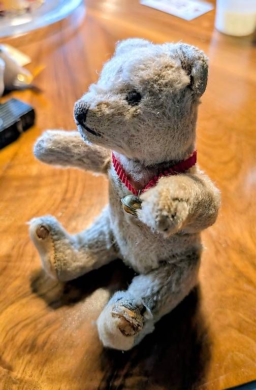 Giocattoli: Alter Teddy – Usato da Subingen venduto da Rusti79 1
