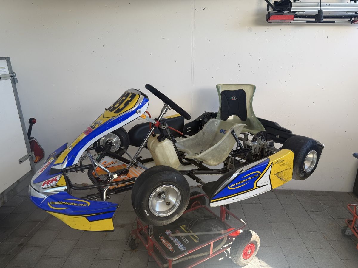 Go-Kart: Rennkart – Usato da Waltenschwil venduto da Almilu 4