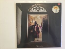 Welcome LP - You’re Welcome