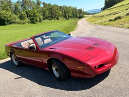 PONTIAC Firebird Veteran 5.0L V8 Trans Am - NUR 65109 KM
