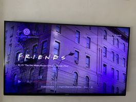 Samsung TV 48 Zoll defekt