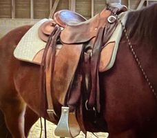 Westernsattel von Saddlery Friedrich Riedl, Castell