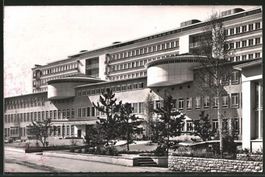 Basel, Bürgerspital, gelaufen 1954