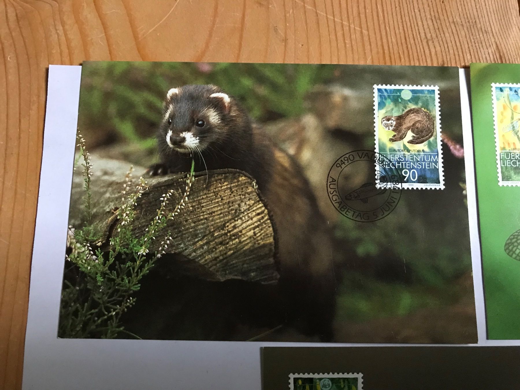 Tutti i francobolli: briefmarken FL 3 karten 5 juni 1989 – Usato da liestal venduto da makai05 1