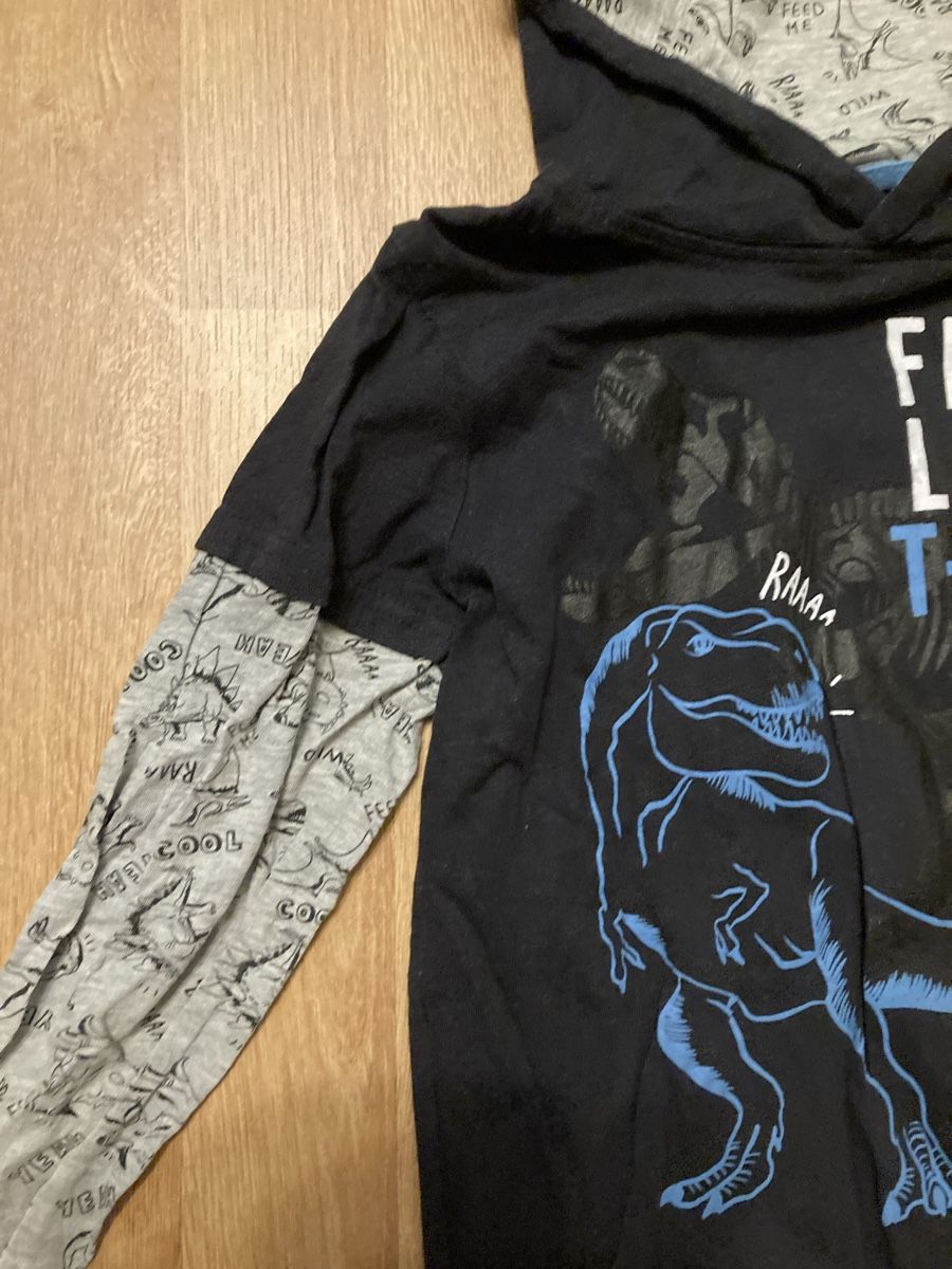 Maglioni & Felpe: Kinder Dino Langarmshirt Gr. 116 – Usato da Emmenbrücke venduto da JJ_89 1