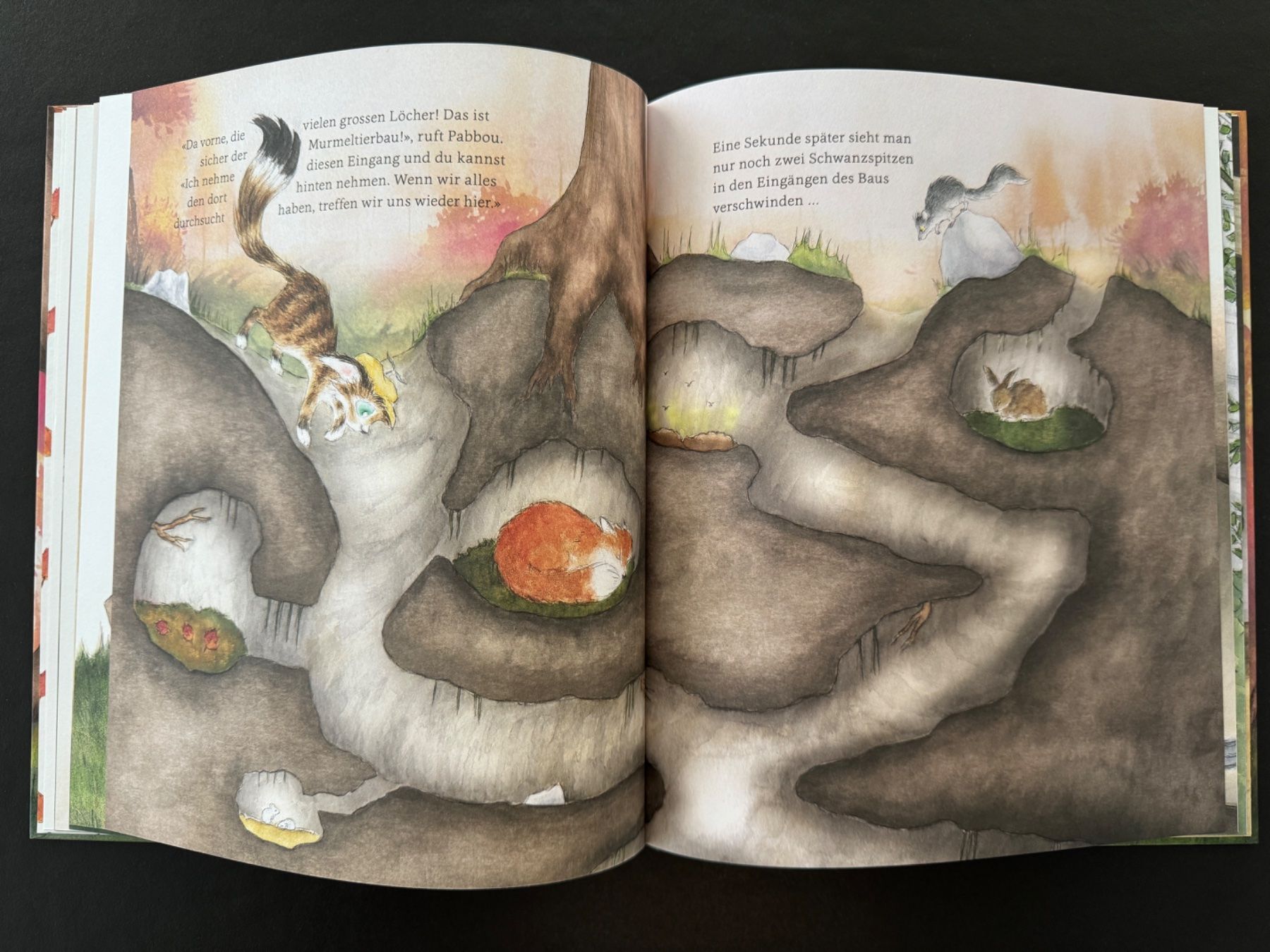 Libri: 2 x Kinderbuch - Kater Pabbou – Nuovo (secondo la descrizione) da Zollikon venduto da Krenapf 3
