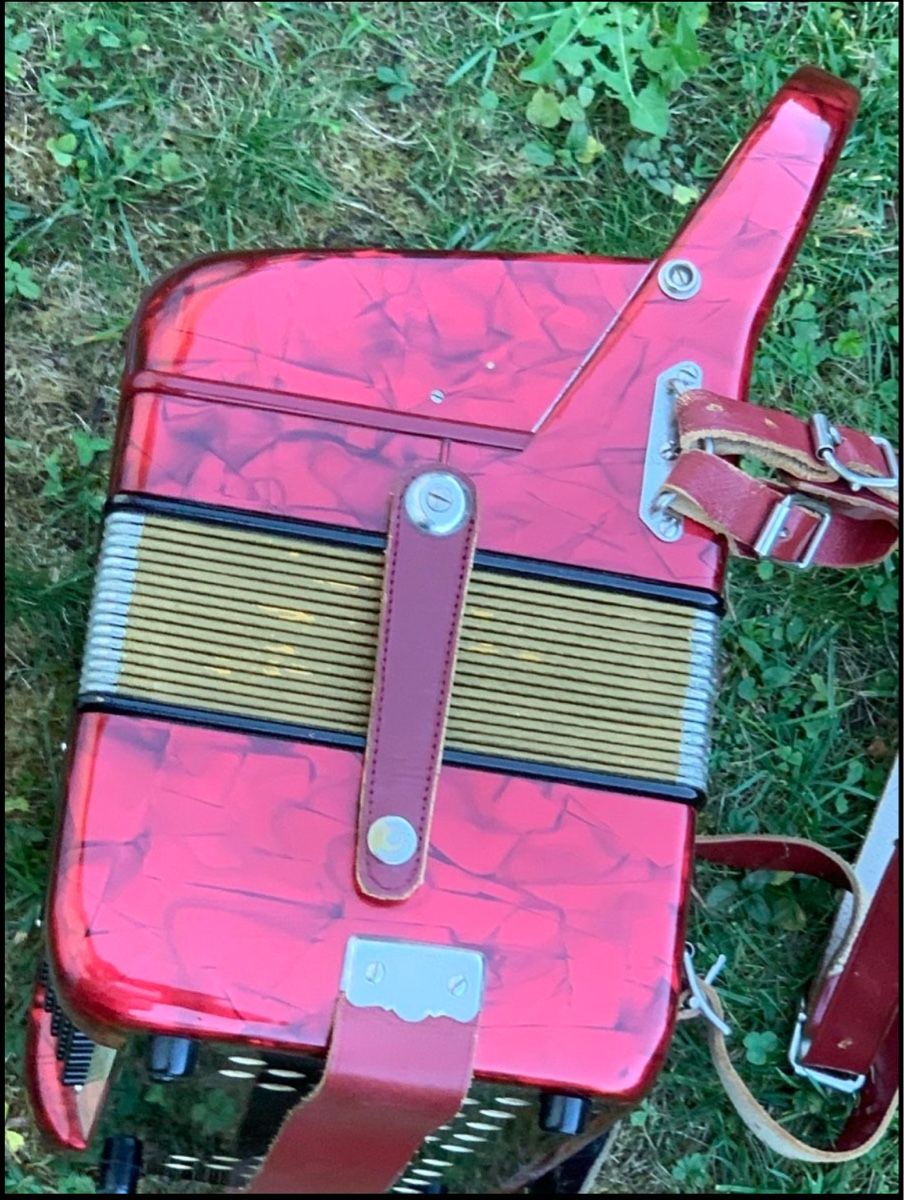 Hohner Strumenti musicali: Akkordeon HOHNER „Piccolo“ – Usato da Wangen b. Olten venduto da Finolino28 4