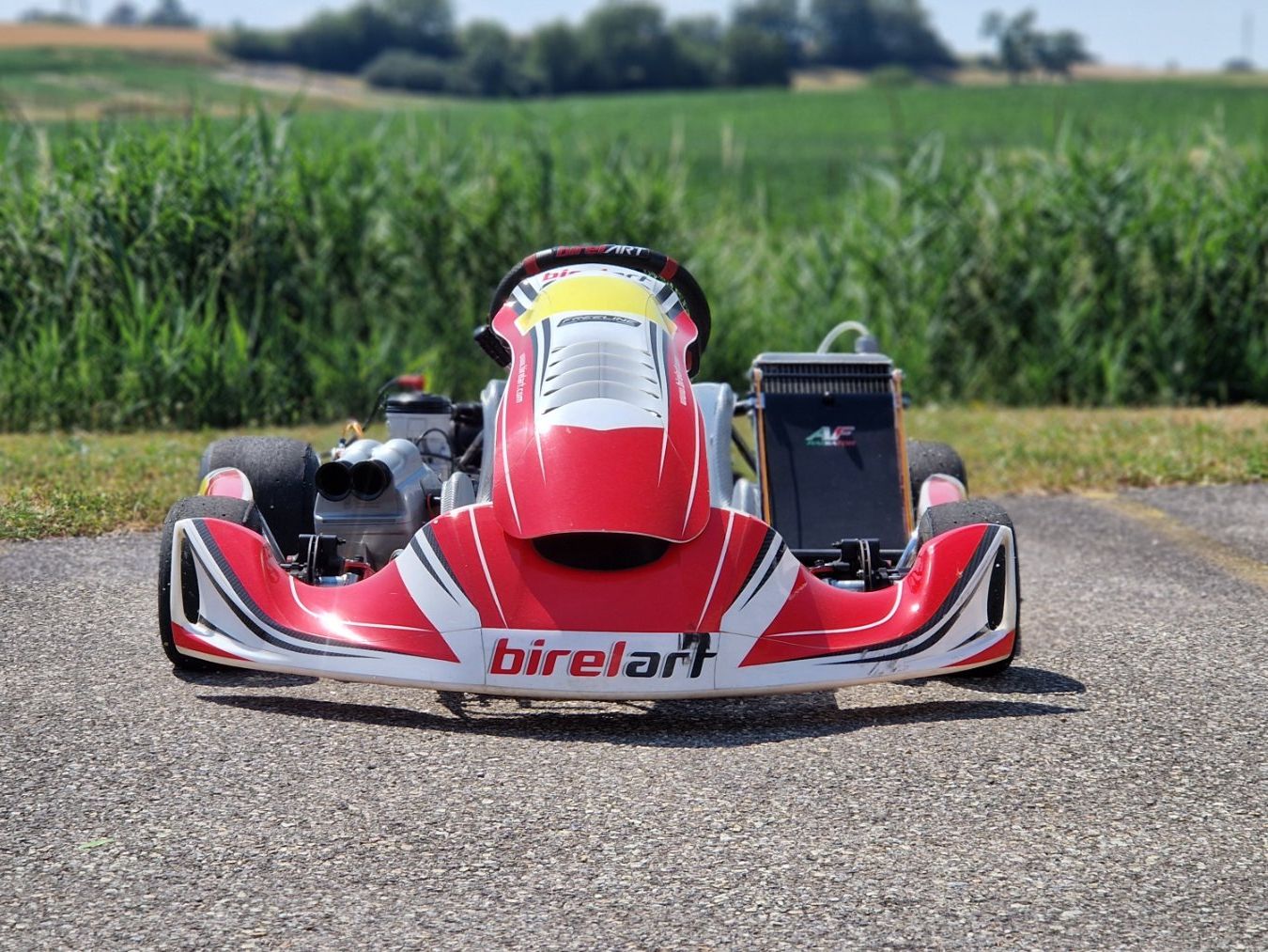 Karts: Karting KZ Birel/Iame – D'occasion à Cornaux NE par syl_fm8y 2