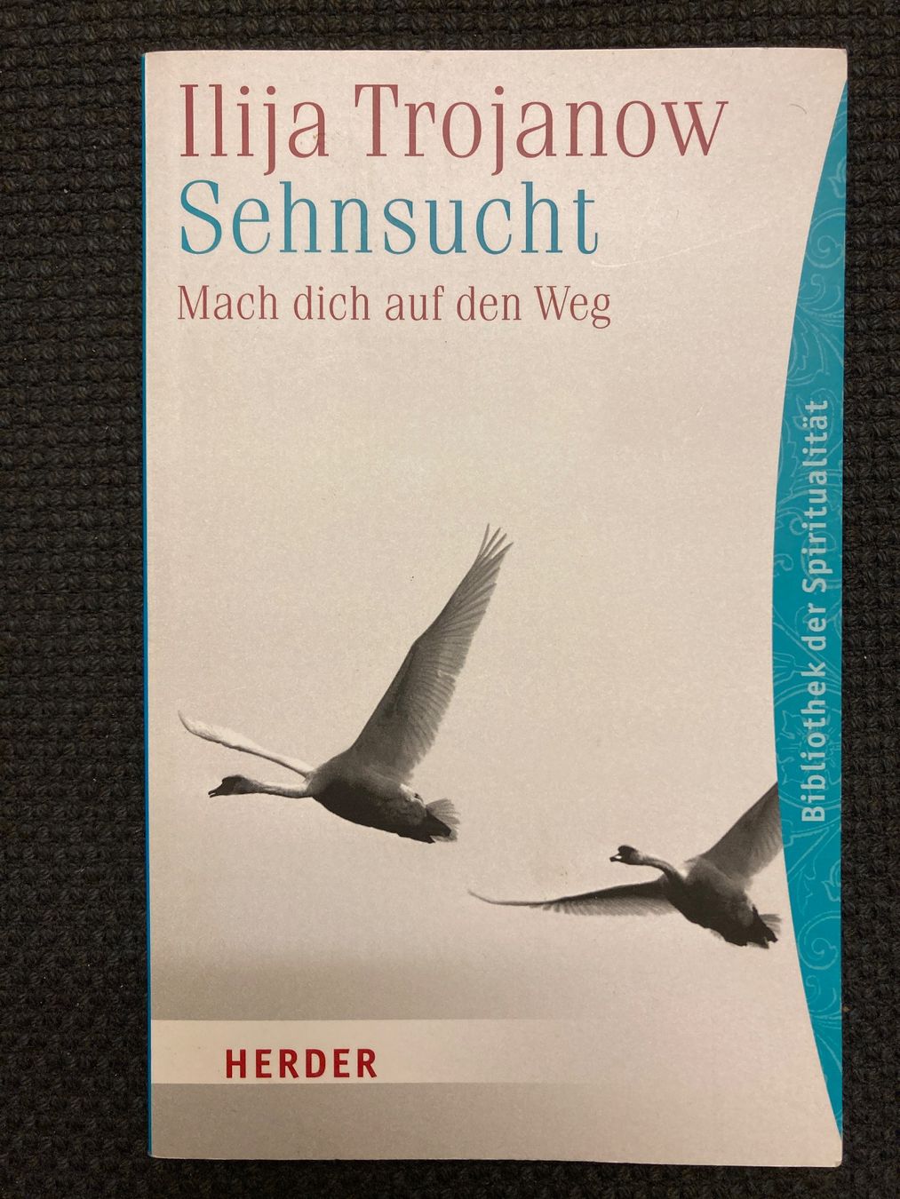 Libri: Ilija Trojanow,  Sehnsucht – Usato da Baden venduto da Yoyo1