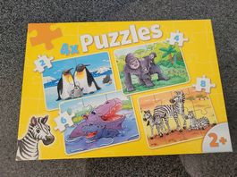 Puzzles