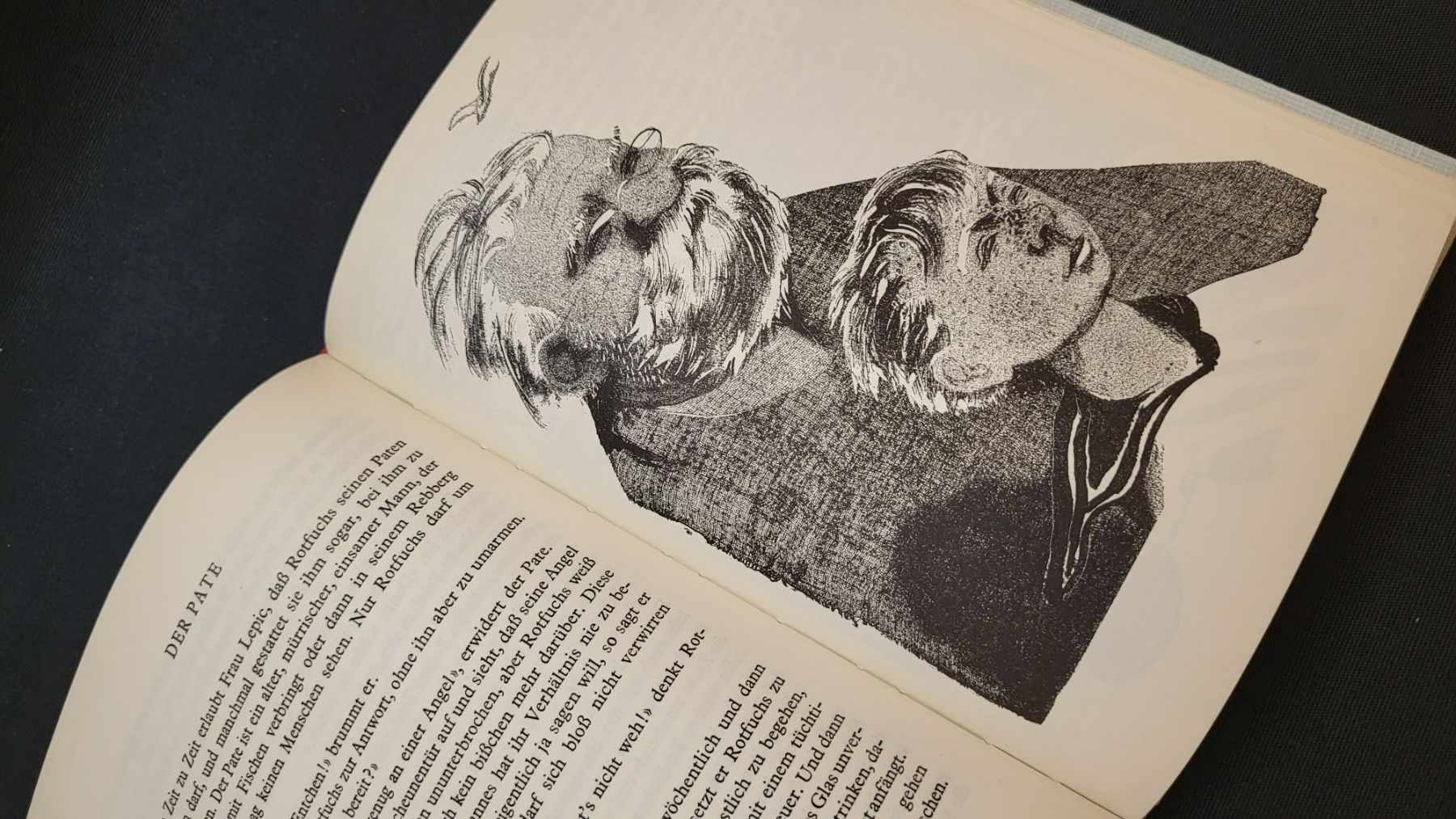 Bücher: Buch ROTFUCHS Jules Renard – Gebraucht aus Basel von spinne02 7