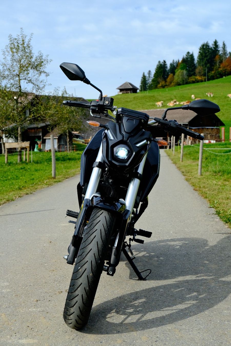 Strasse: VOGE R125 – Gebraucht aus Süderen von Niki21 4