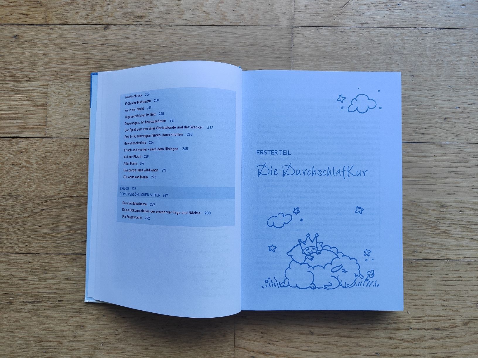 Libri: Das Durchschlafbuch - Wahlgren – Nuovo (secondo la descrizione) da Zürich venduto da tsc_sd9w 3