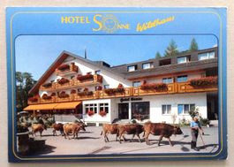 Hotel Sonne, Wildhaus