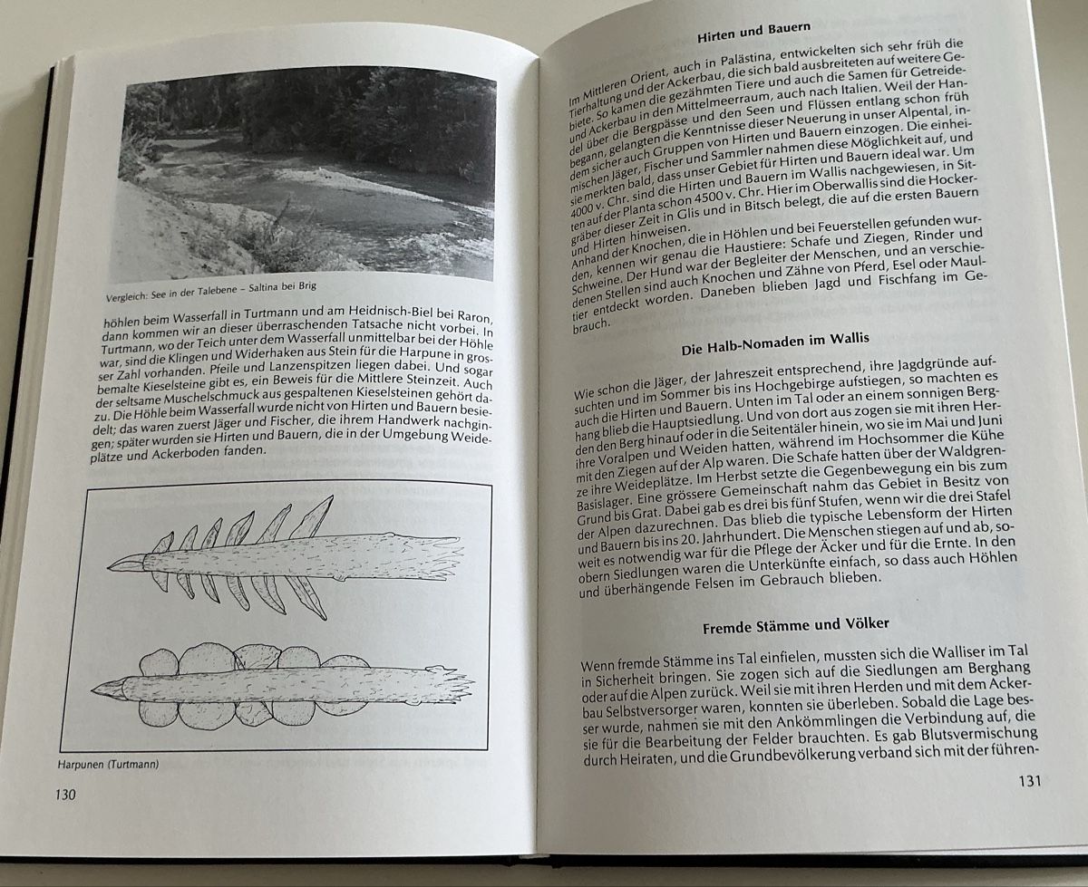 Libri: Emil Schmid Steinkultur im Wallis – Usato da Crans-Montana venduto da plainemorte 5