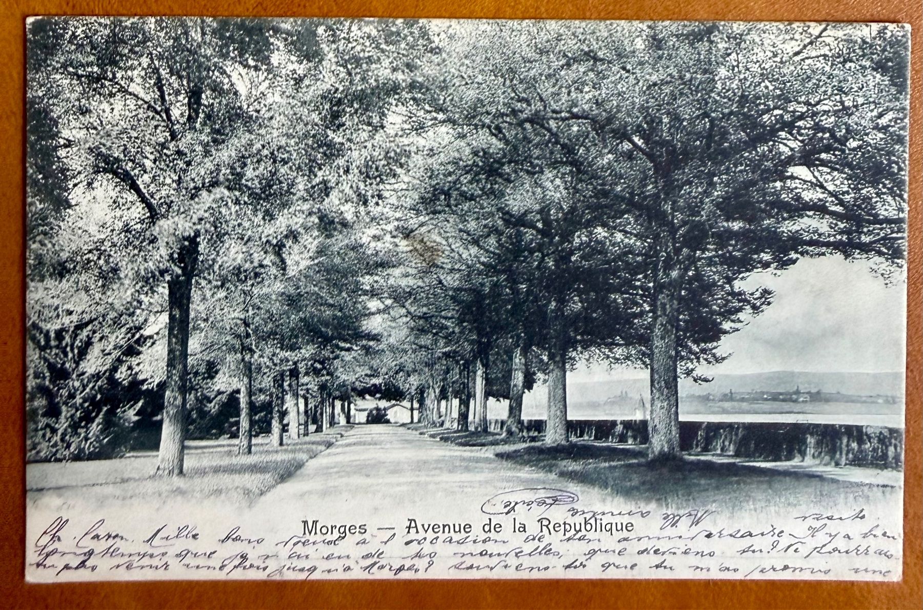 Cartoline postali: Morges - Avenue de la République 1903 – Usato da Lutry venduto da Ediego