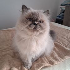 Profile image of MissMillie71