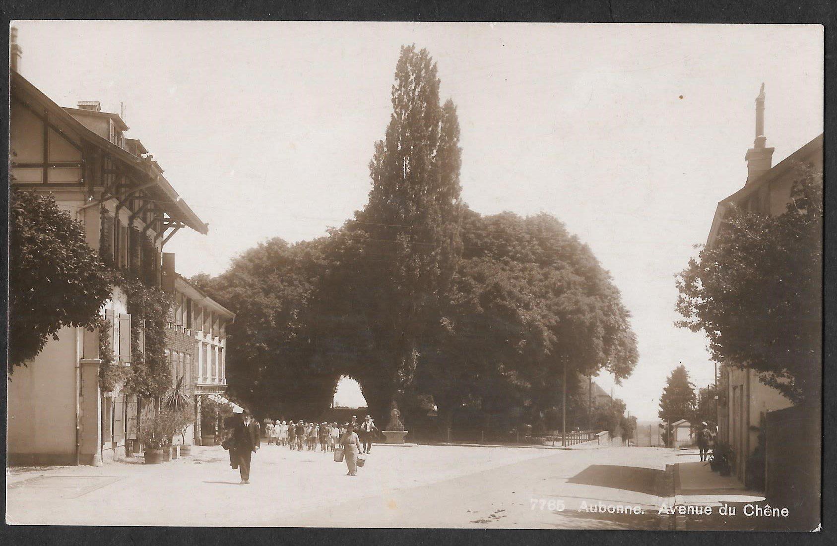 Cartoline postali: Aubonne Avenue du Chêne Feldpoststempel – Usato da Olten venduto da clotaldi