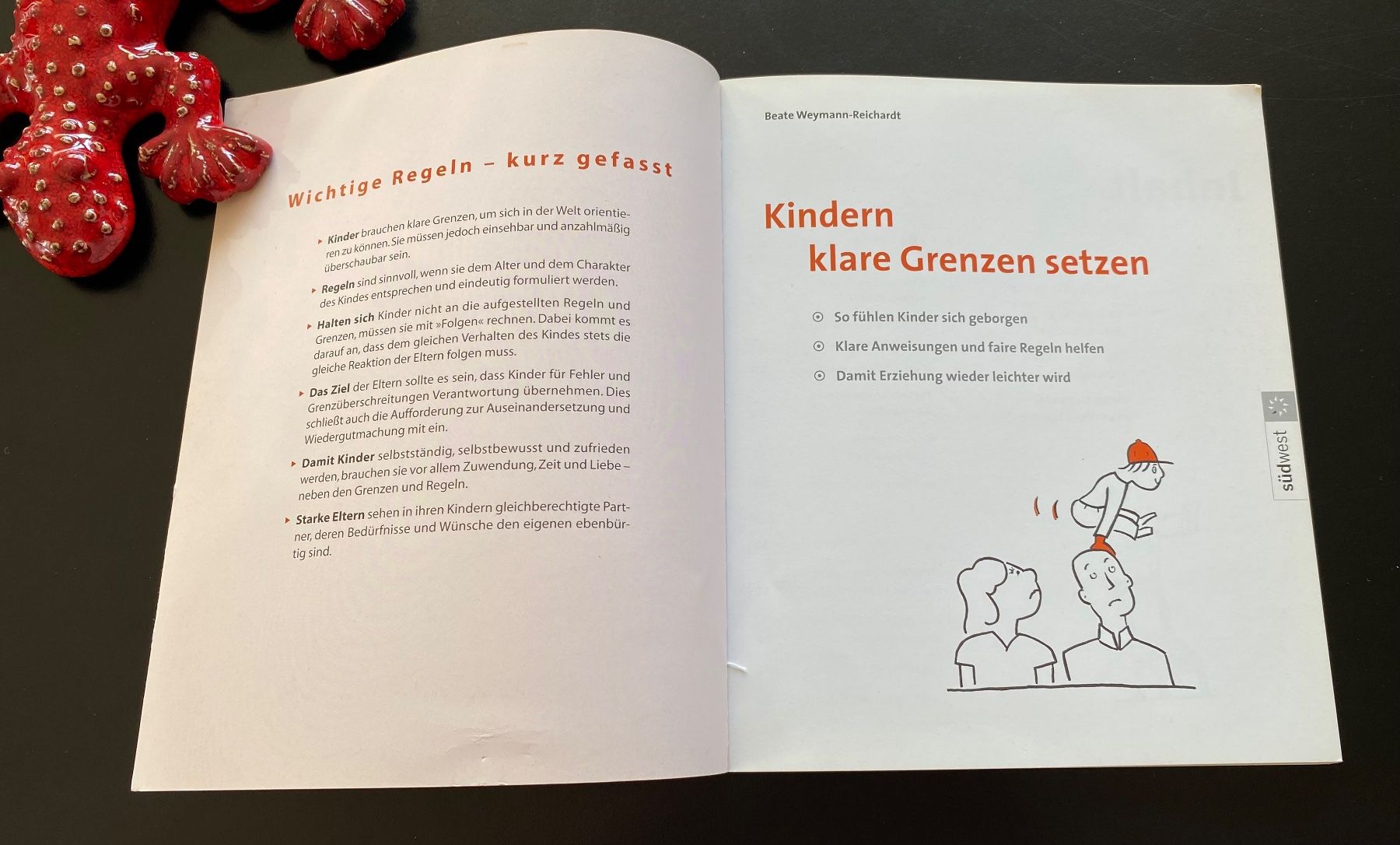 Libri: Kindern klare Grenzen setzen / Ratgeber – Usato da Nussbaumen AG venduto da schuba2000 2