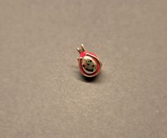 Charm Drachenfrucht +Garantie