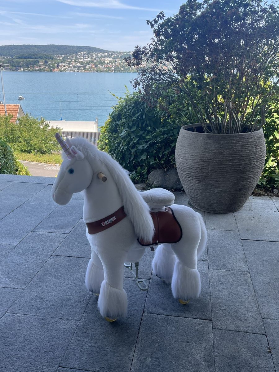 Veicoli per bambini: Ponycycle, Pony zum Reiten – Usato da Kilchberg ZH venduto da Juniper8 1