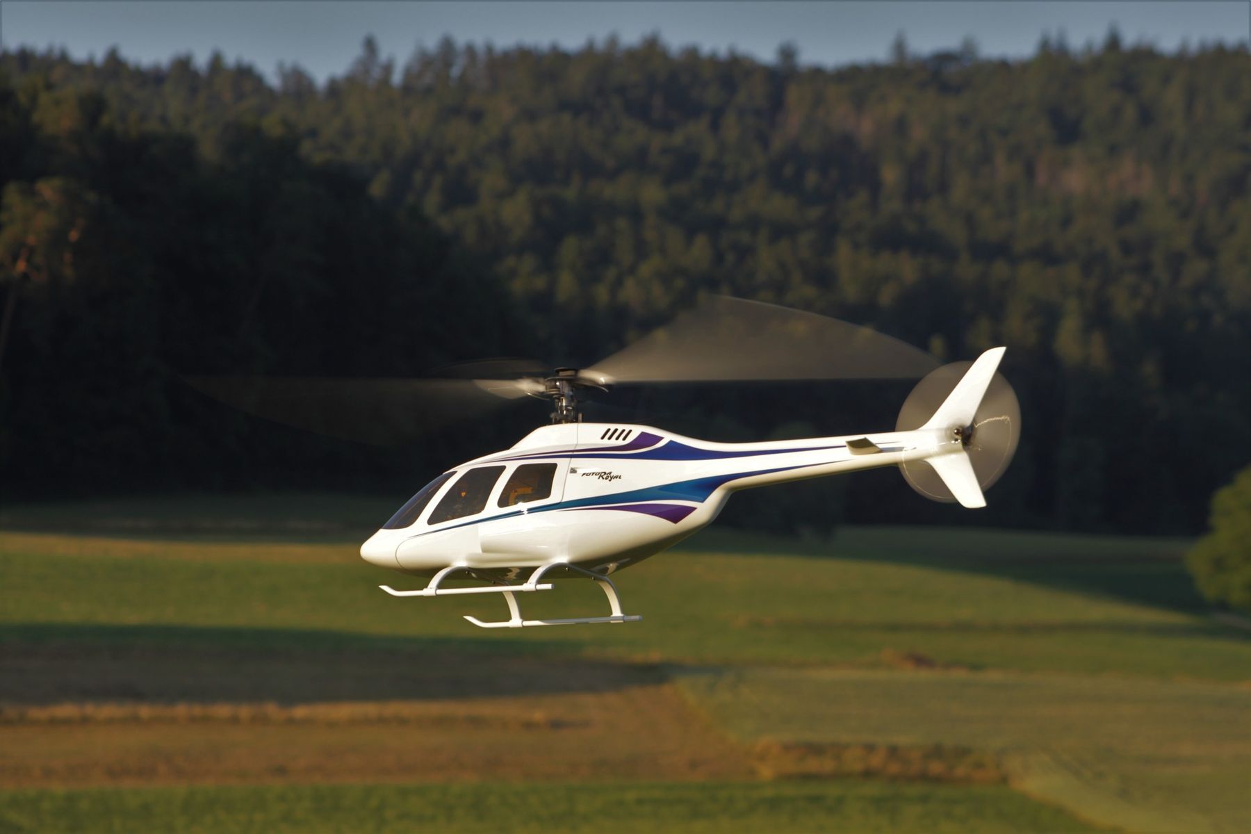 Robbe Modellismo RC: ROBBE Futura Royal E-Power – Nuovo (secondo la descrizione) da Gontenschwil venduto da Hpassat 2