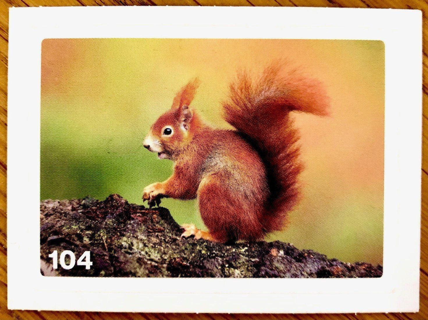 Migros Carte collezionabili: Migros Nature Detectives - Bild Nr. 104 – Nuovo (secondo la descrizione) da Oberrieden venduto da Zimmerberg10