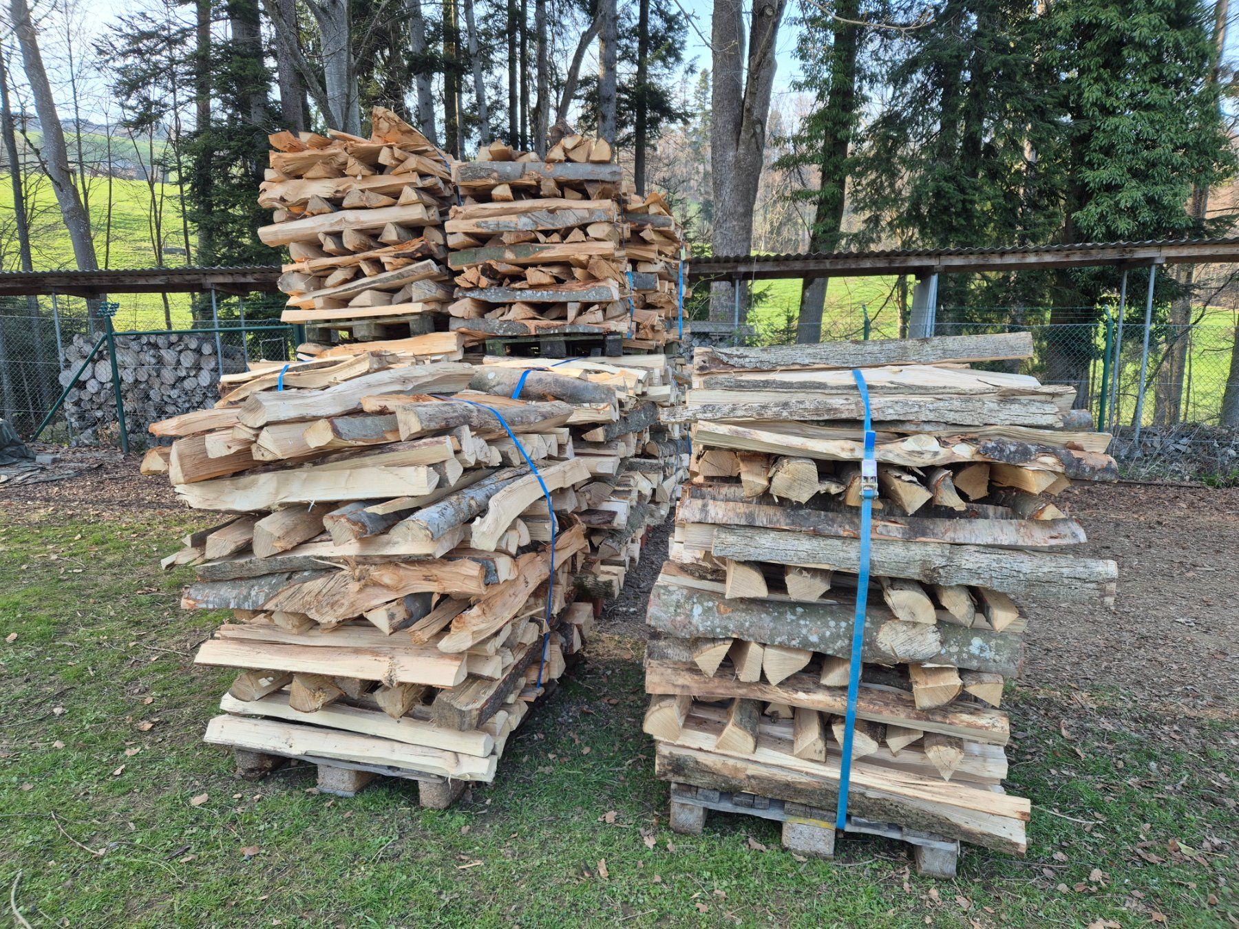 Pallets: Kunststoff-Palett  SBB Palett – Usato da Stein AR venduto da Bienli4 4