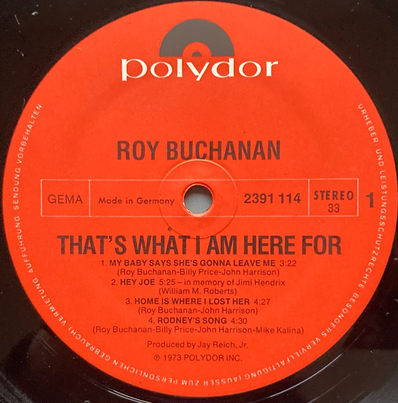 Dischi in vinile: ROY BUCHANAN - THAT'S WHATI AM HERE FOR – Usato da Poliez-Pittet venduto da Newtown-Records 2