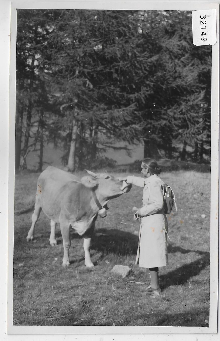 Cartoline postali: Wanderin mit Kuh – Usato da Ettingen venduto da Kartenplanet