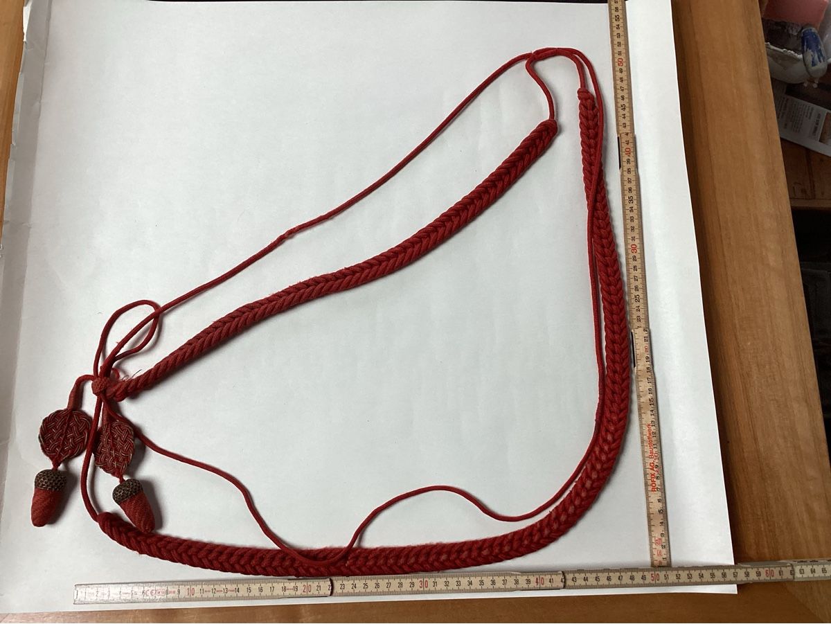 Uniformi: Zier Schnur – Usato da niederurnen venduto da Hagugelmann