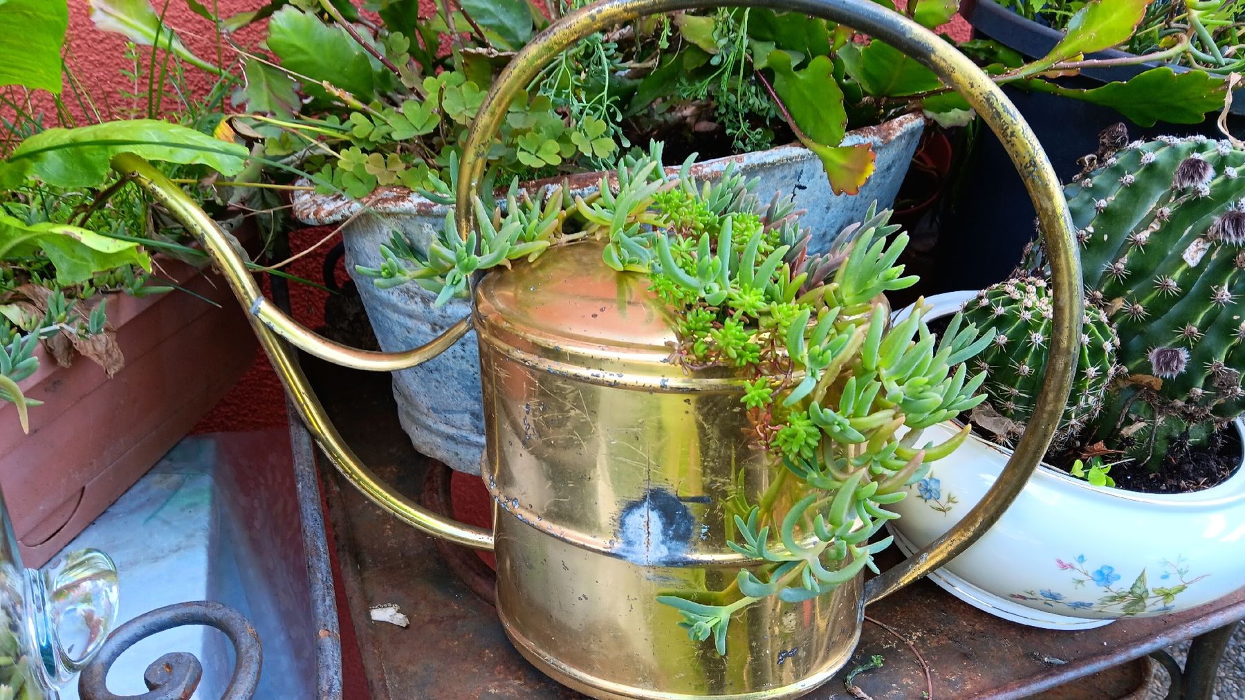 Tutte le decorazioni: Innaffiatore vintage ottone con succulente,  – Usato da Carena venduto da gra_yz7p 1